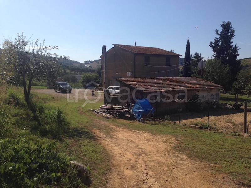 immagine annuncio 12 di 13