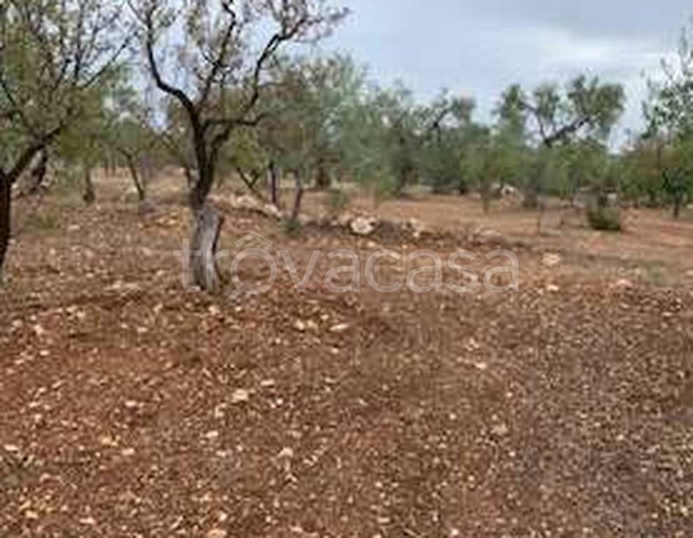 immagine annuncio 8 di 9