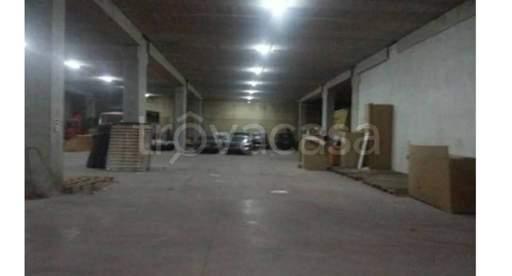 immagine annuncio 4 di 11