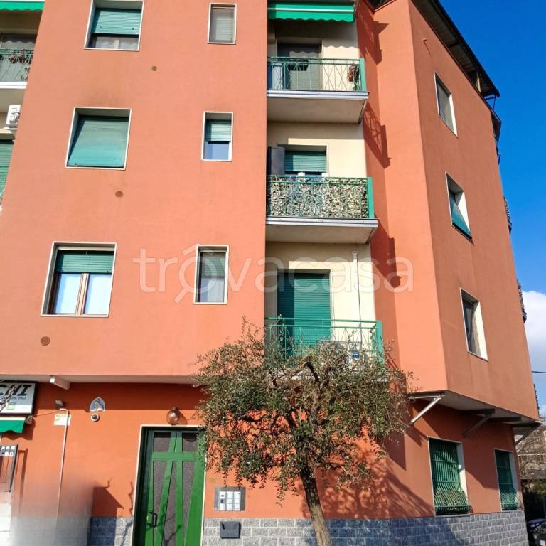 immagine annuncio 10 di 12