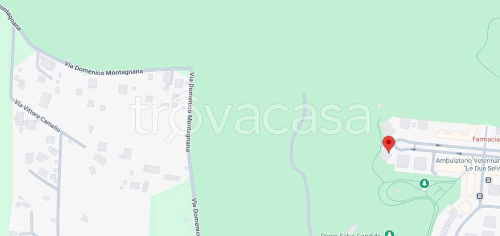 immagine annuncio 1 di 10