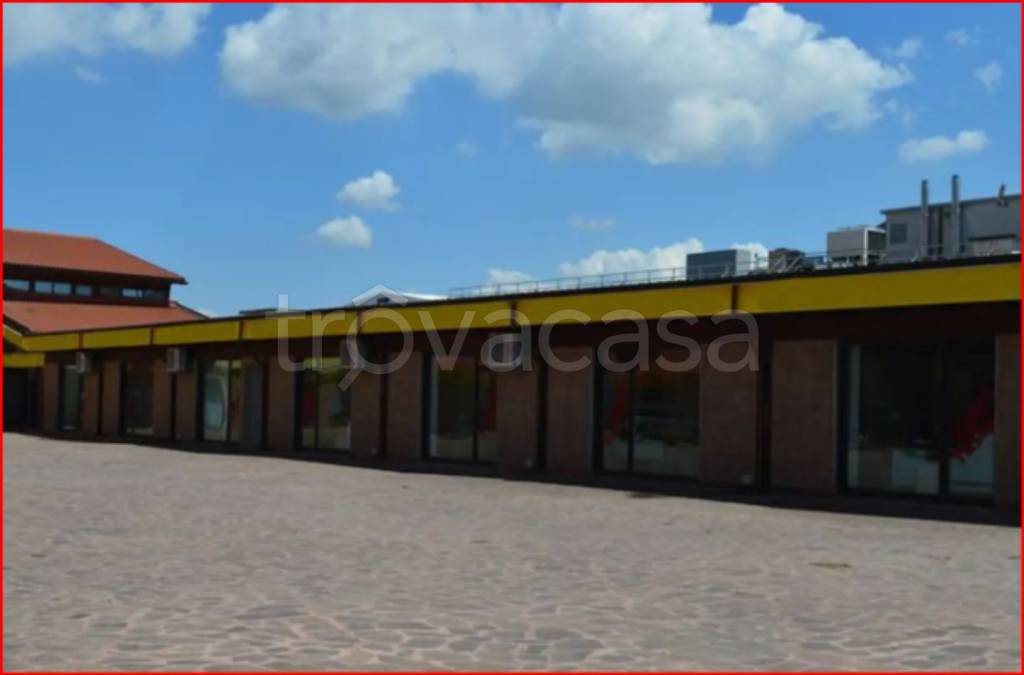 immagine annuncio 6 di 11