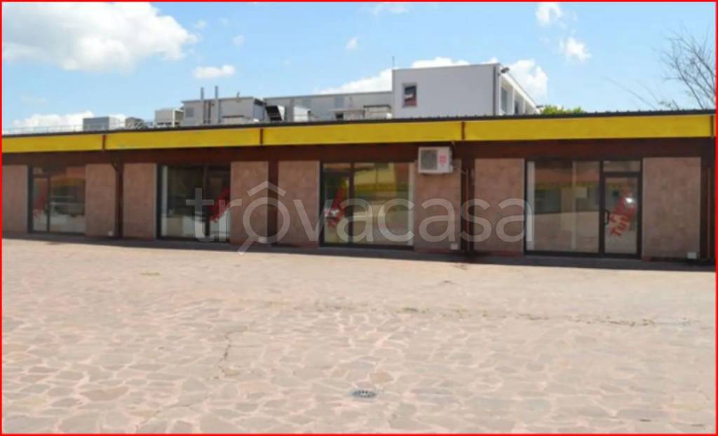 immagine annuncio 7 di 11