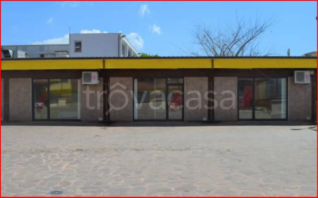 immagine annuncio 8 di 11