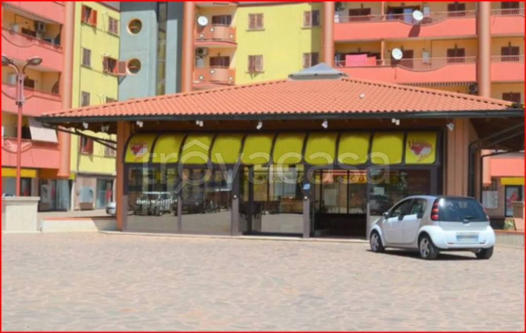 immagine annuncio 9 di 11