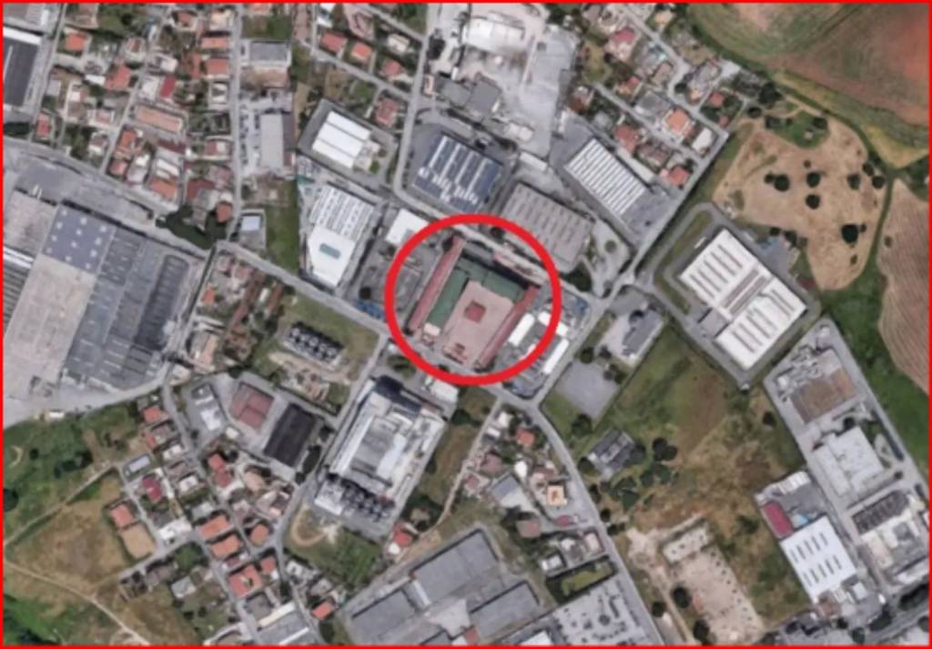 immagine annuncio 10 di 11