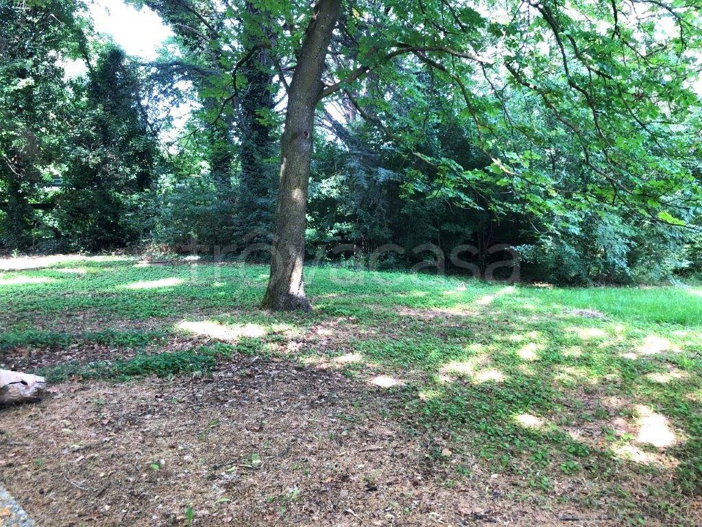 immagine annuncio 4 di 14