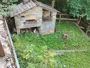 immagine annuncio 4 di 6