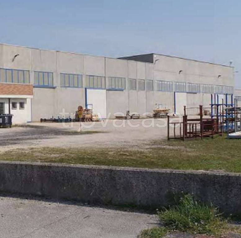 immagine annuncio 6 di 11