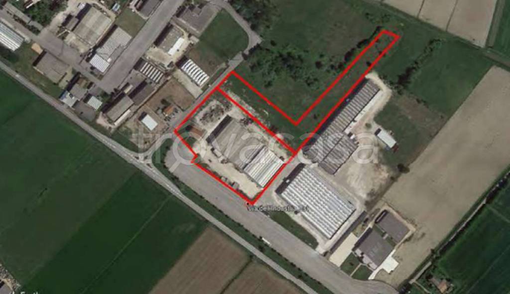 immagine annuncio 7 di 11