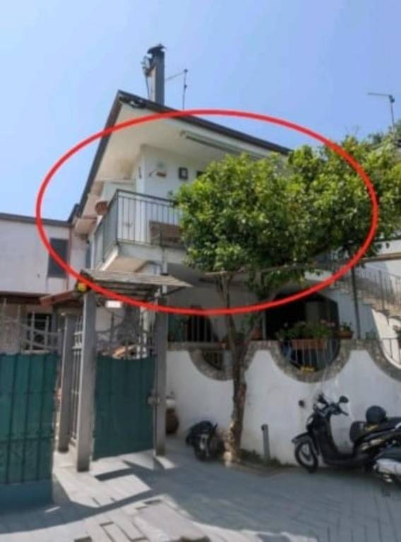 immagine annuncio 6 di 13