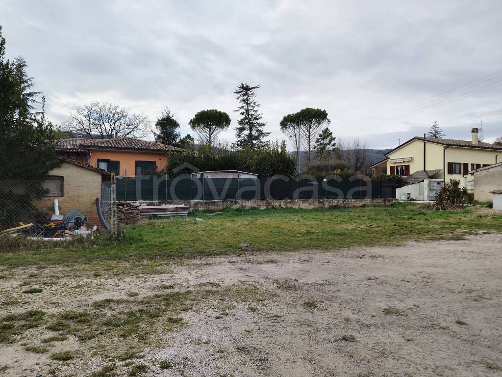 immagine annuncio 3 di 14