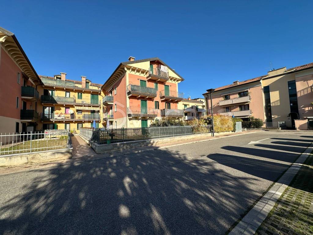 immagine annuncio 2 di 15