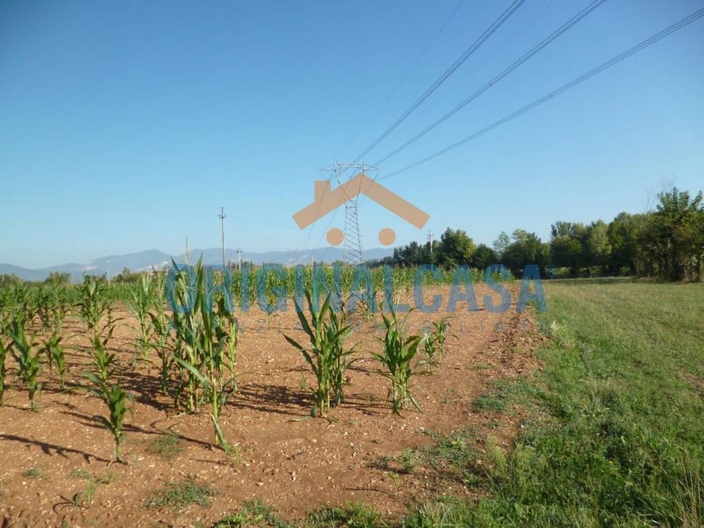 immagine annuncio 6 di 9