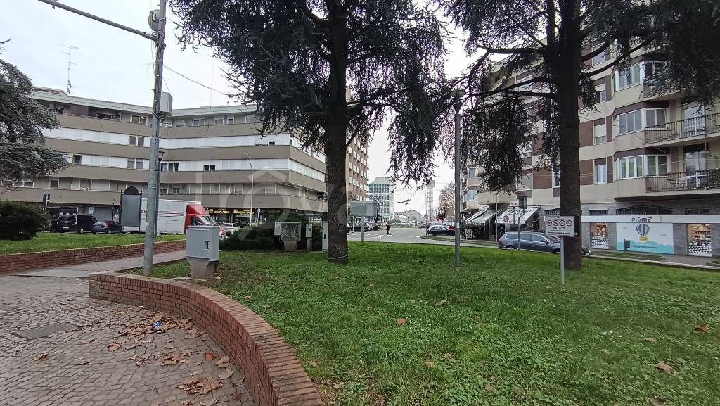 immagine annuncio 9 di 14