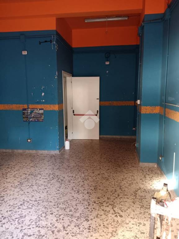 immagine annuncio 1 di 7