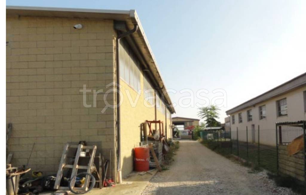 immagine annuncio 5 di 11