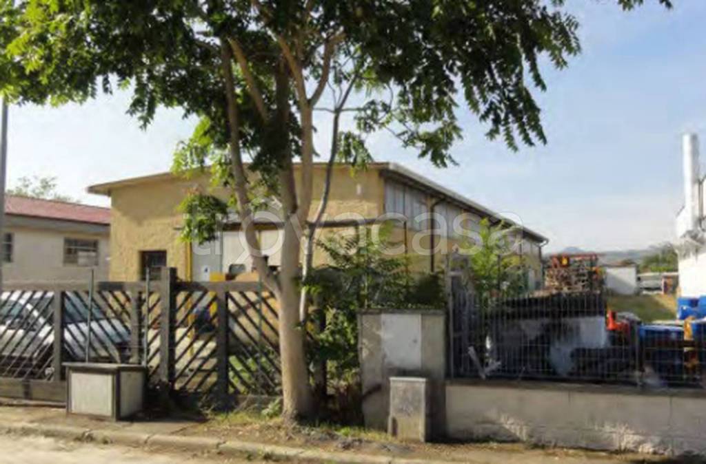 immagine annuncio 6 di 11