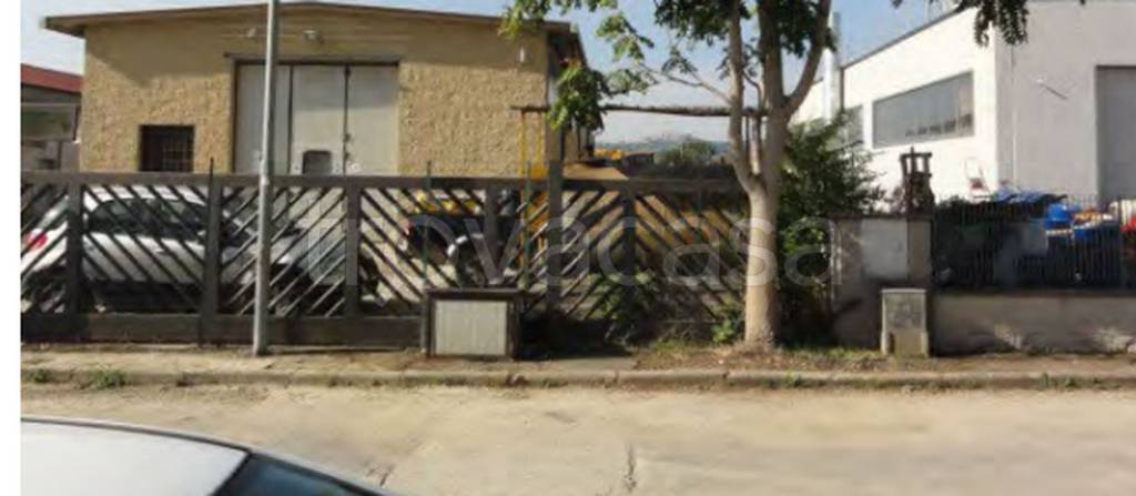 immagine annuncio 7 di 11