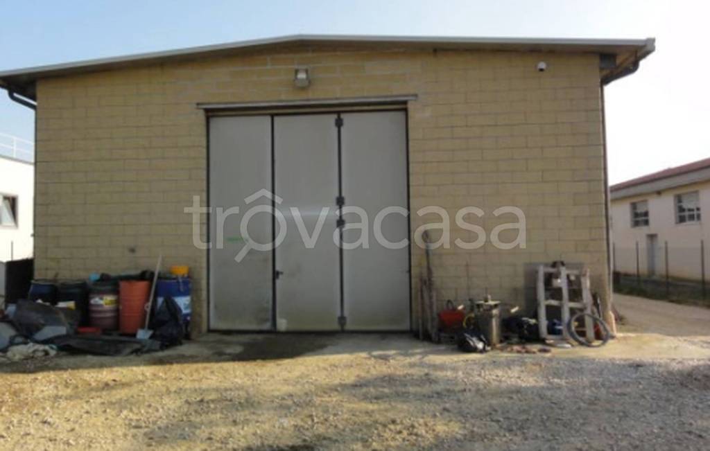 immagine annuncio 9 di 11