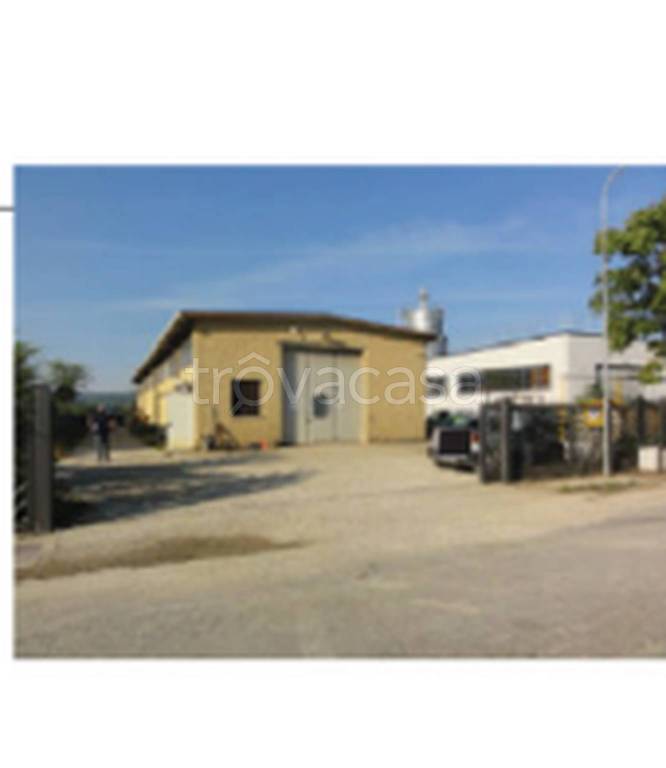 immagine annuncio 10 di 11