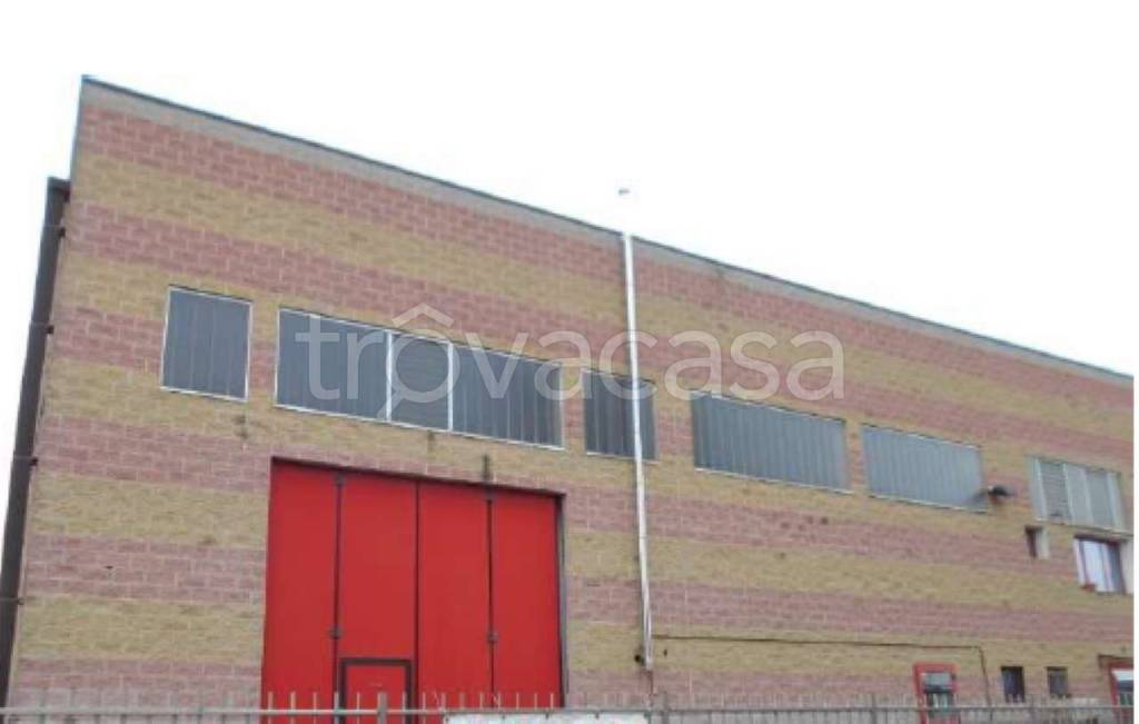 immagine annuncio 5 di 14