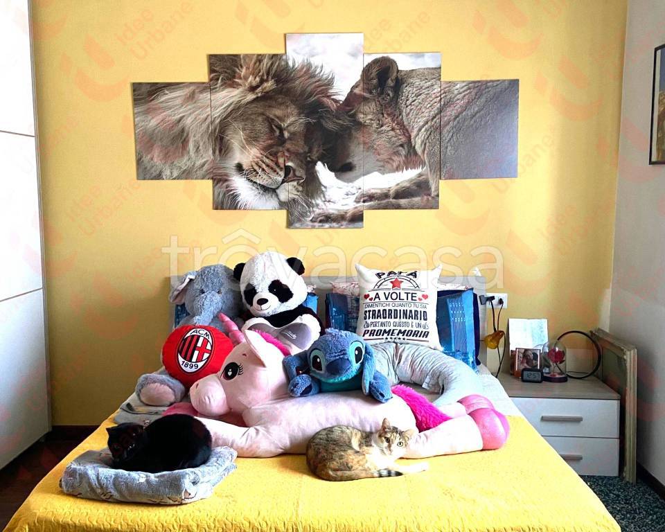 immagine annuncio 5 di 10