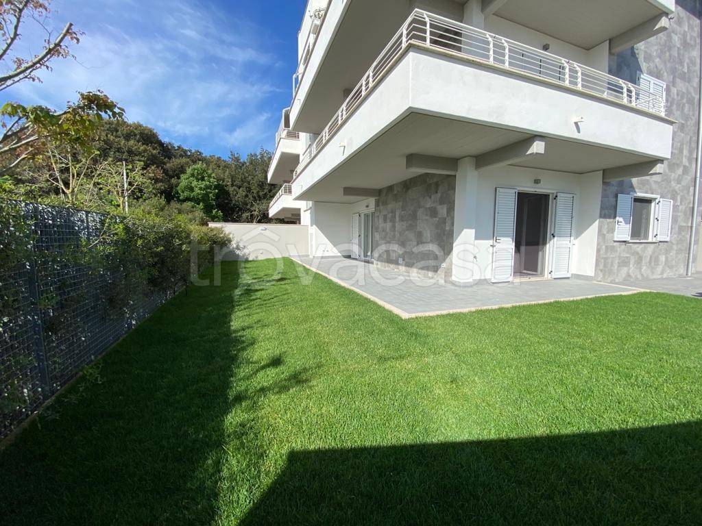 immagine annuncio 2 di 14