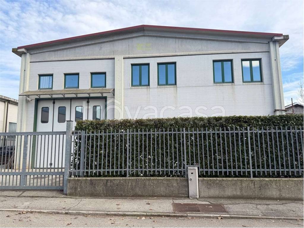 immagine annuncio 1 di 11