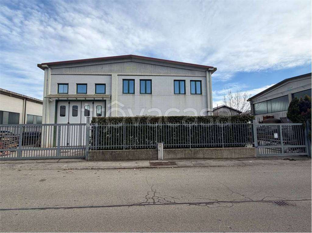 immagine annuncio 2 di 11