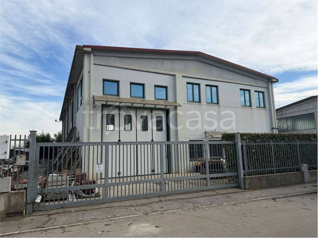 immagine annuncio 3 di 11