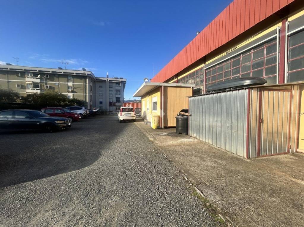 immagine annuncio 3 di 10