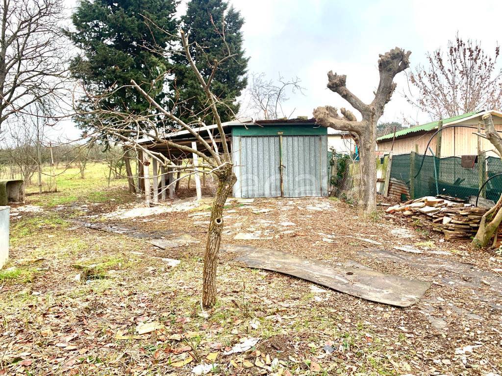 immagine annuncio 6 di 7