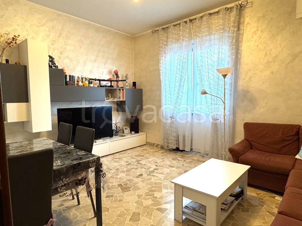 immagine annuncio 7 di 14