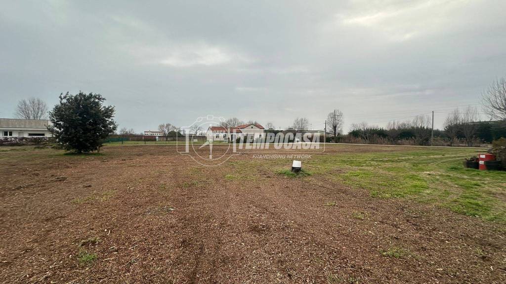 immagine annuncio 4 di 14