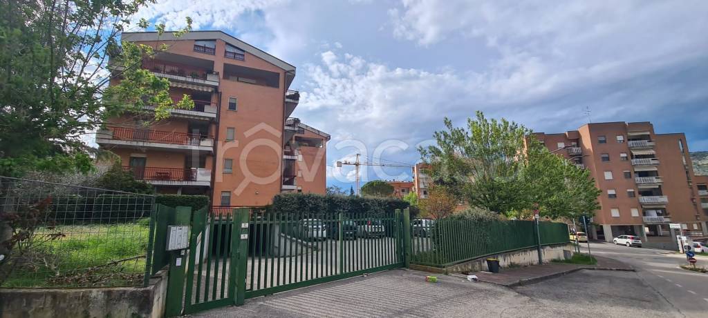 immagine annuncio 9 di 14