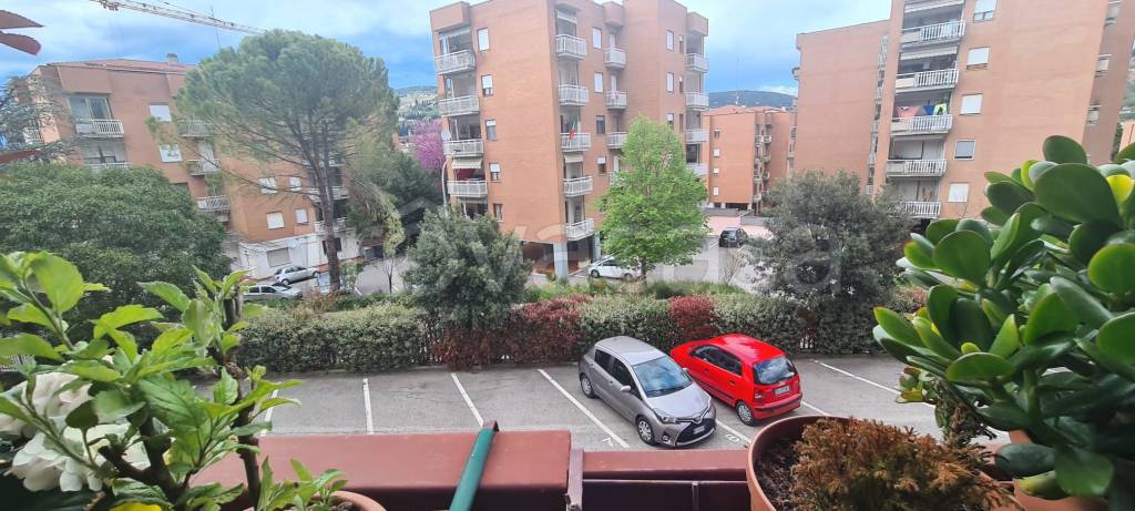 immagine annuncio 12 di 14