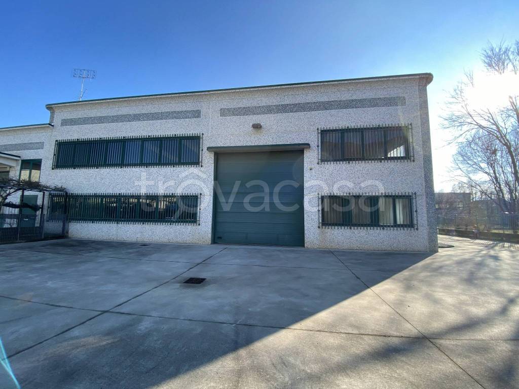 immagine annuncio 9 di 15