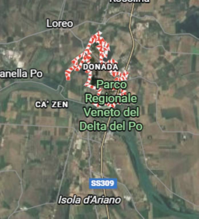 immagine annuncio 12 di 14