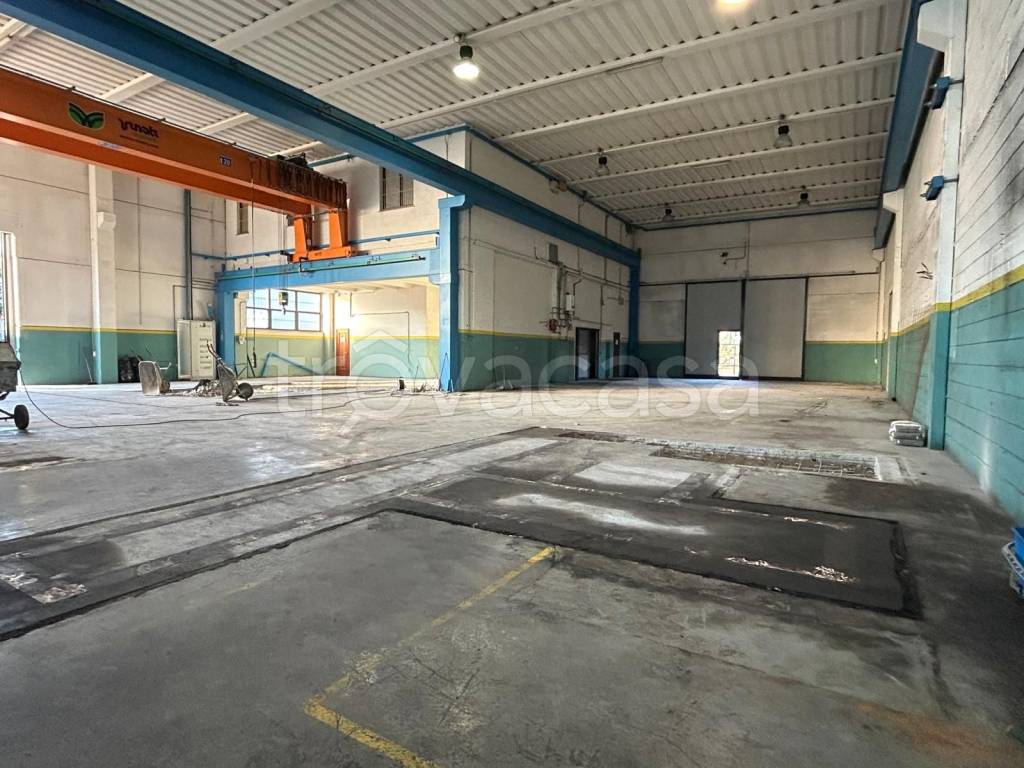 immagine annuncio 4 di 15