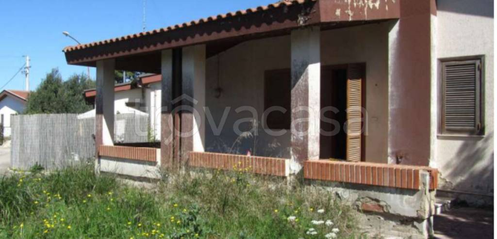 immagine annuncio 2 di 13