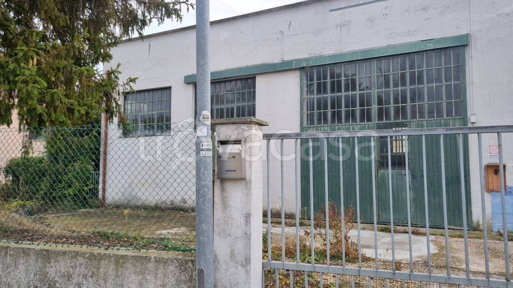 immagine annuncio 2 di 11