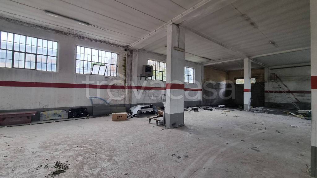 immagine annuncio 5 di 11