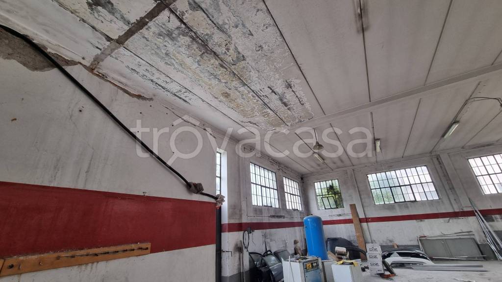 immagine annuncio 7 di 11