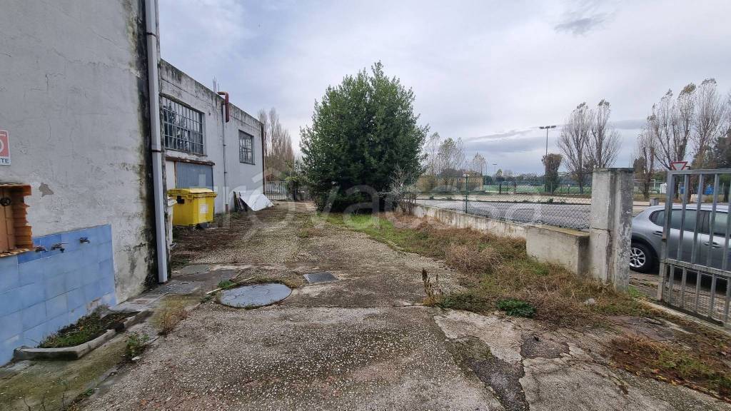 immagine annuncio 8 di 11