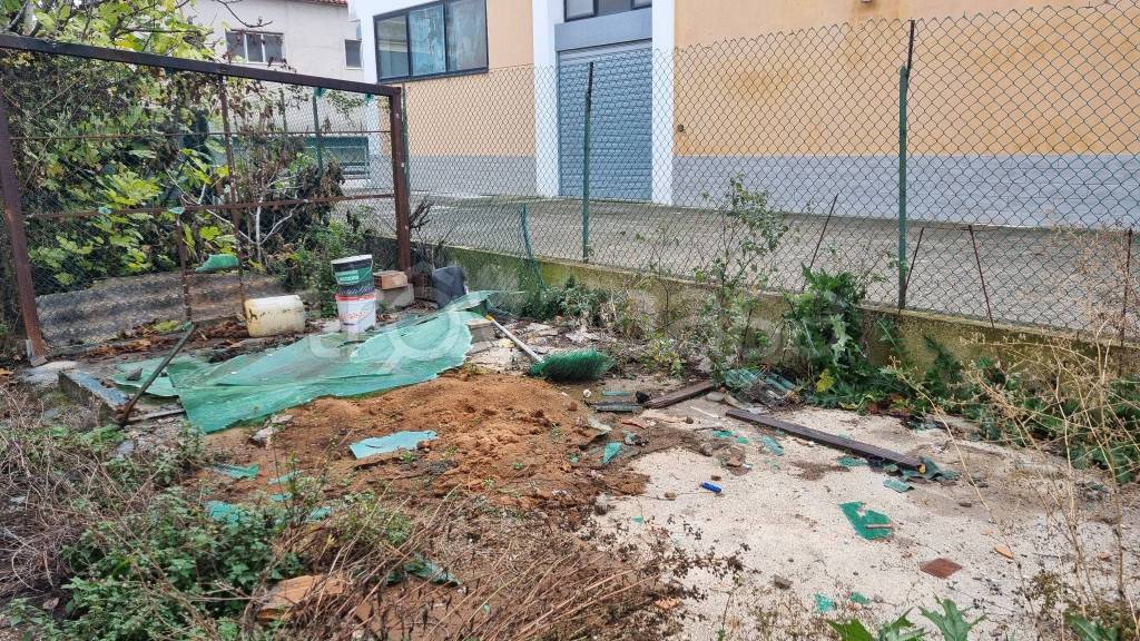 immagine annuncio 10 di 11