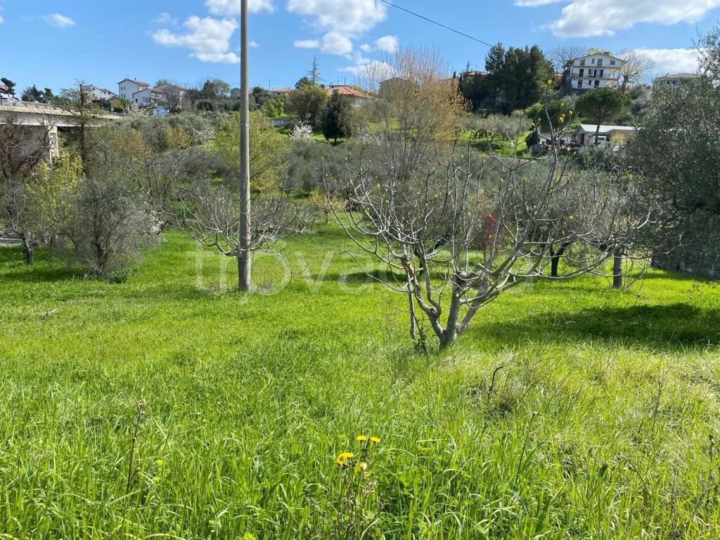 immagine annuncio 1 di 9