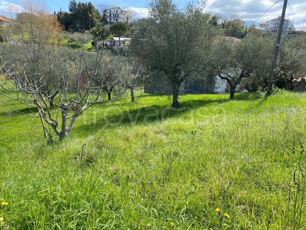 immagine annuncio 2 di 9