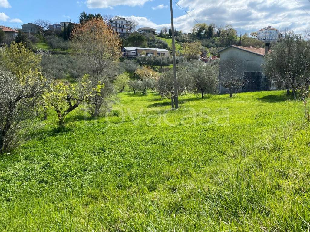 immagine annuncio 4 di 9