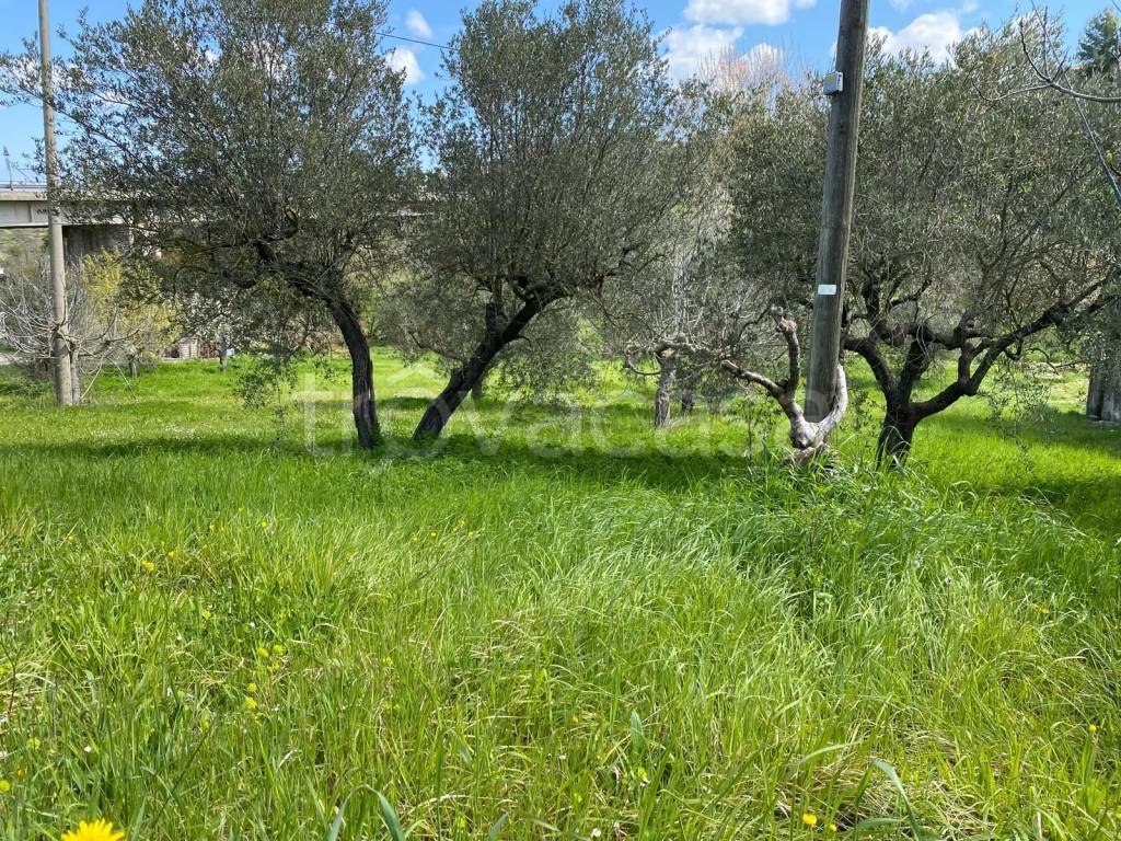 immagine annuncio 7 di 9